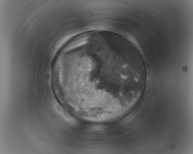 X0000110711035200907022018