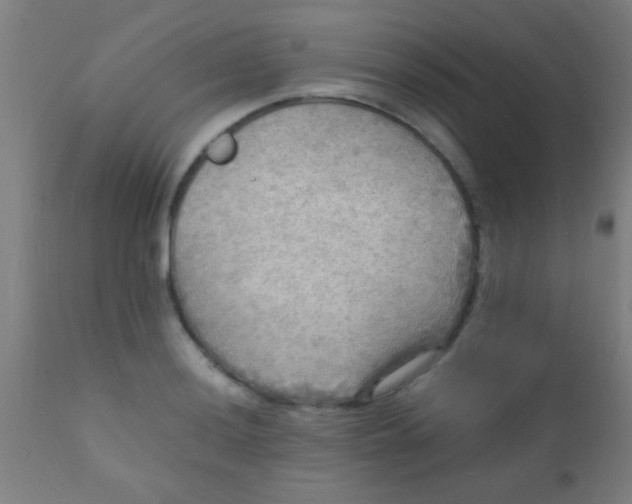 X0000110711036200907022018