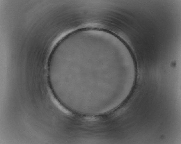 X0000110711037200907022018