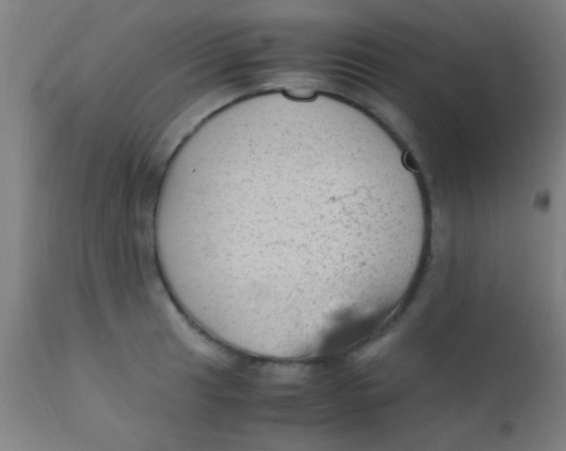 X0000110711041200907022018