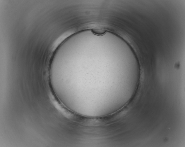 X0000110711042200907022018