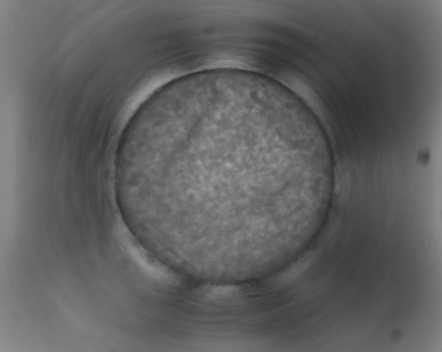 X0000110711043200907022018