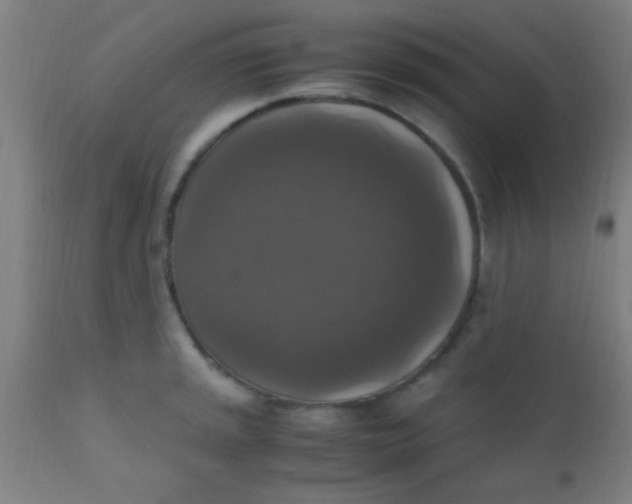 X0000110711045200907022018