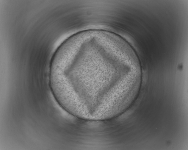 X0000110711046200907022018