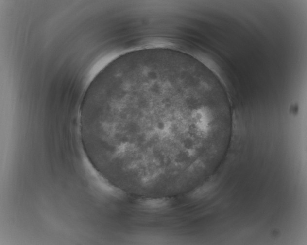 X0000110711047200907022018