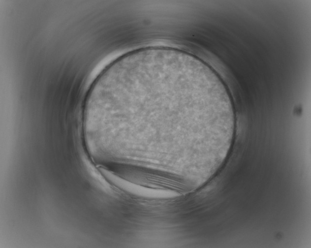 X0000110711048200907022018