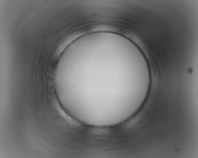 X0000110711049200907022018