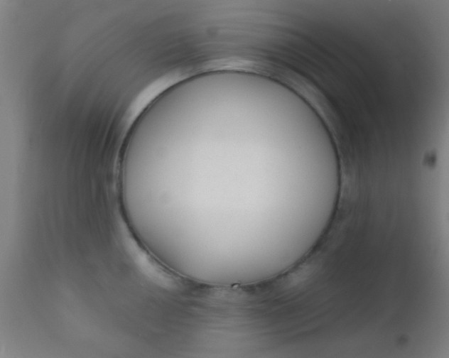 X0000110711050200907022018