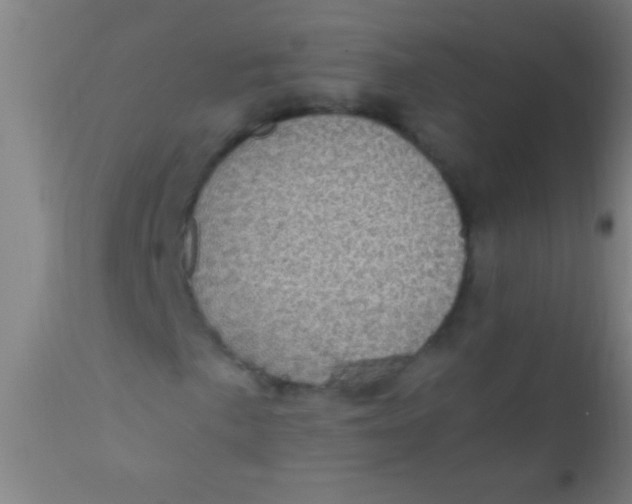 X0000110711057200907022017