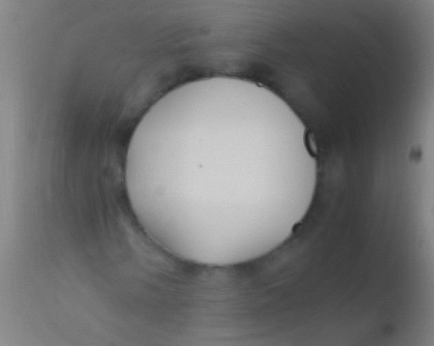 X0000110711058200907022017