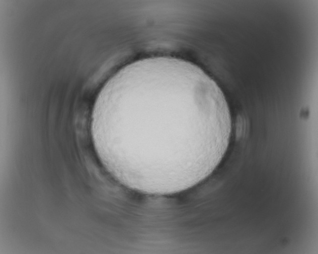 X0000110711059200907022017