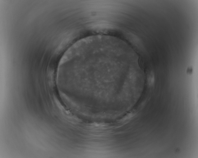 X0000110711060200907022017
