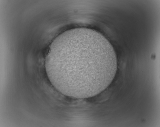 X0000110711061200907022017