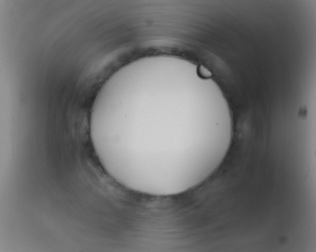 X0000110711062200907022017