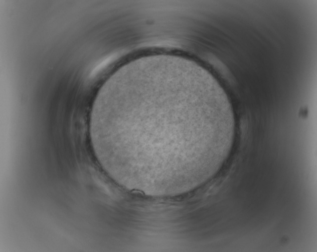 X0000110711064200907022017