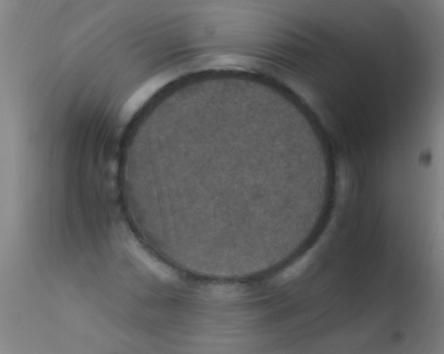 X0000110711066200907022017