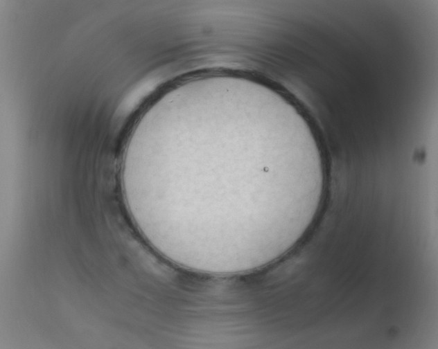 X0000110711067200907022017