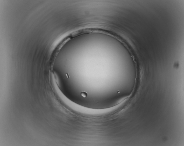 X0000110711069200907022017