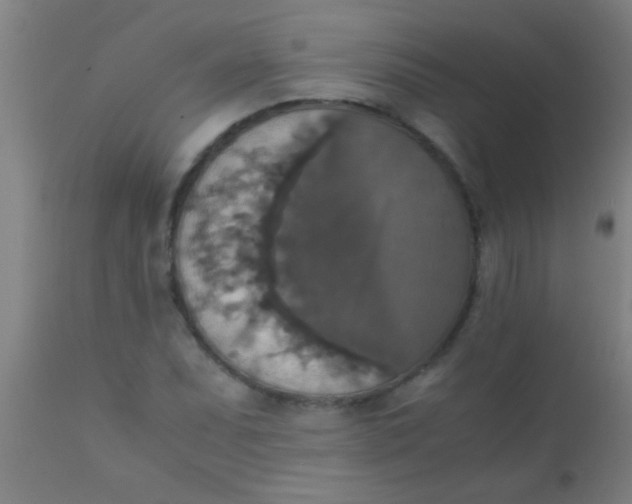 X0000110711071200907022017