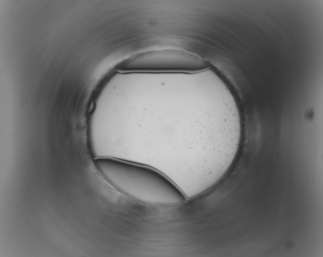 X0000110711072200907022017