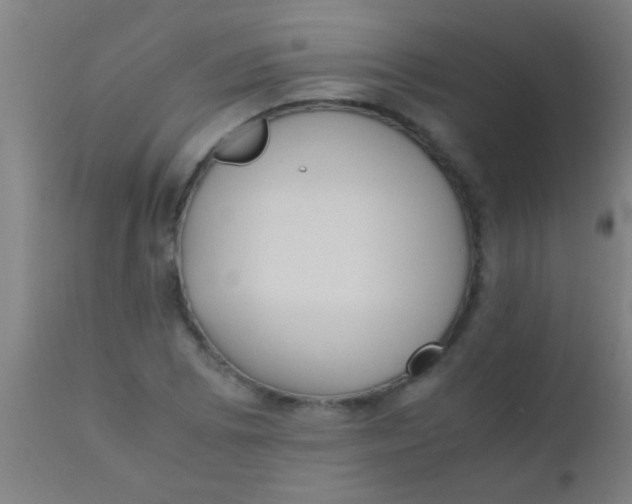 X0000110711073200907022017