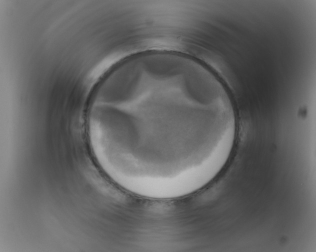 X0000110711074200907022017