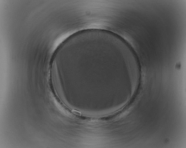 X0000110711077200907022017