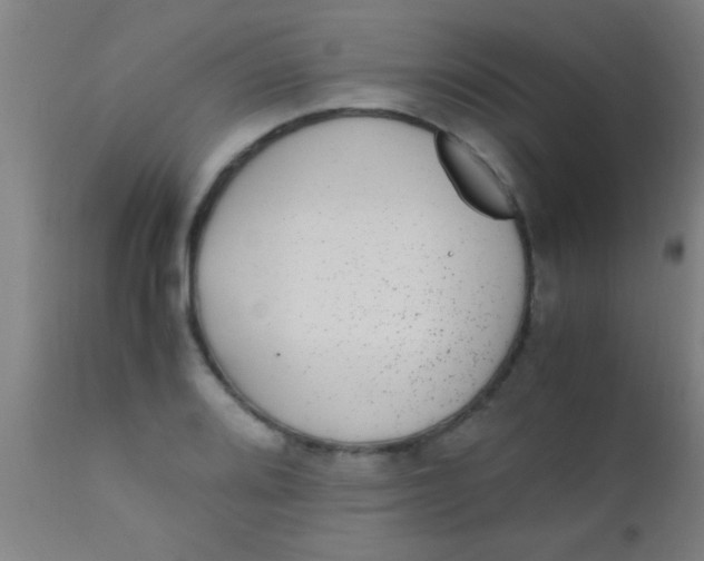 X0000110711080200907022017