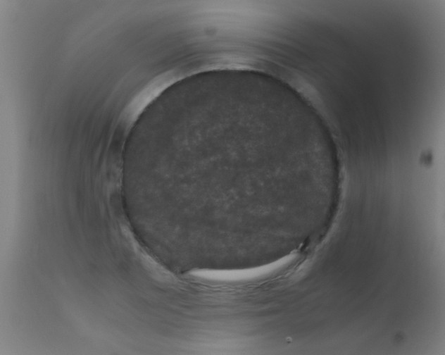 X0000110711081200907022017