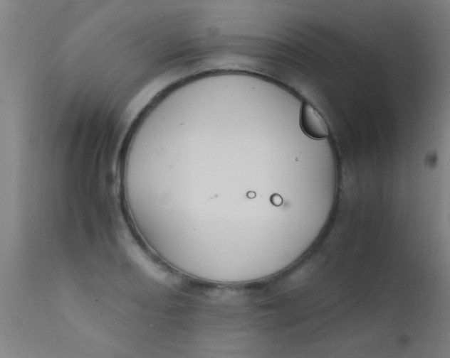 X0000110711082200907022016
