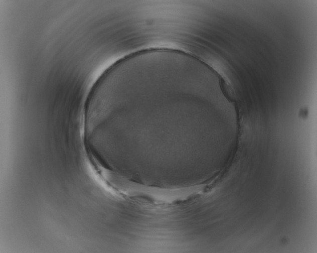 X0000110711084200907022016