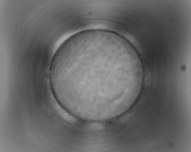 X0000110711086200907022016