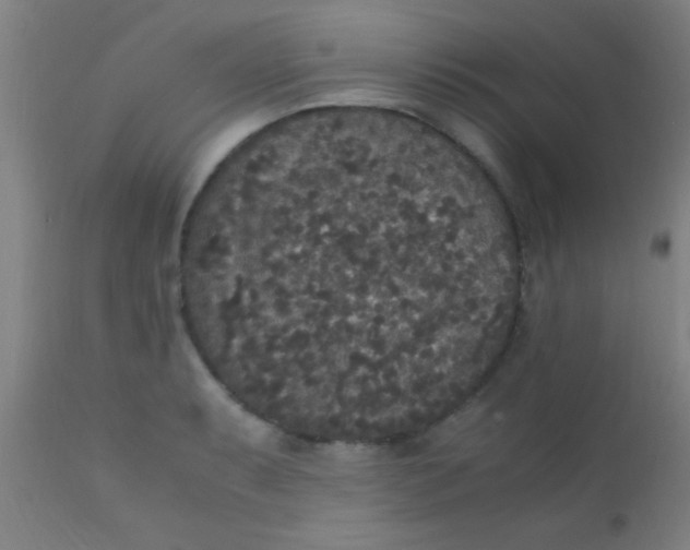 X0000110711087200907022016