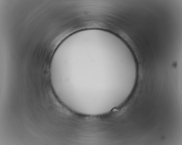 X0000110711089200907022016