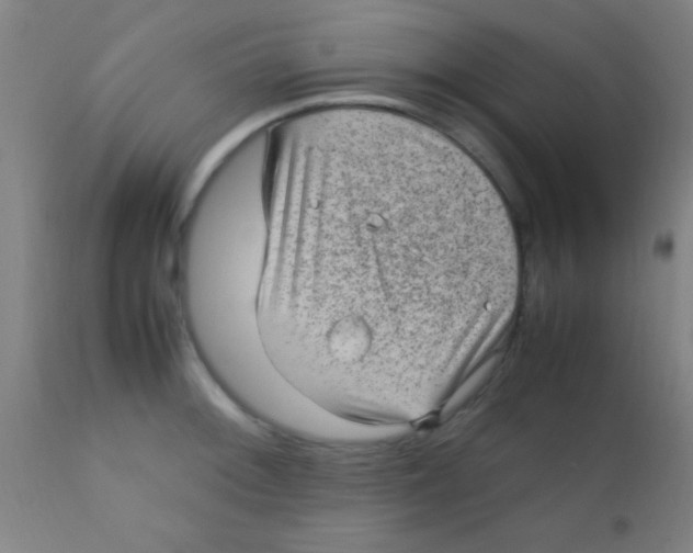 X0000110711092200907022016
