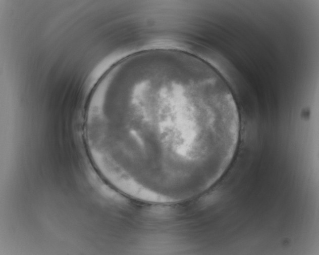 X0000110711094200907022016