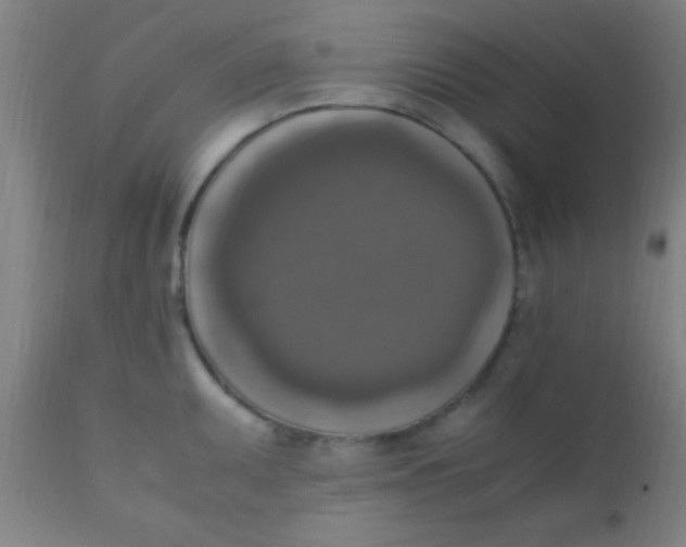 X0000110711095200907022016