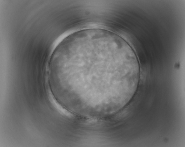 X0000110711098200907022016