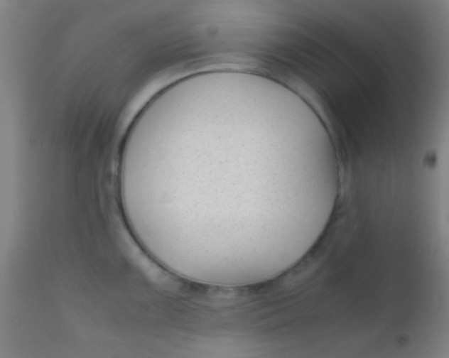 X0000110711099200907022016