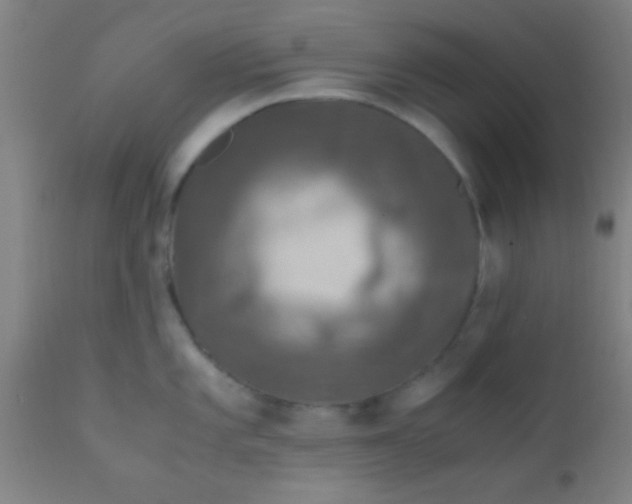 X0000110711101200907022016