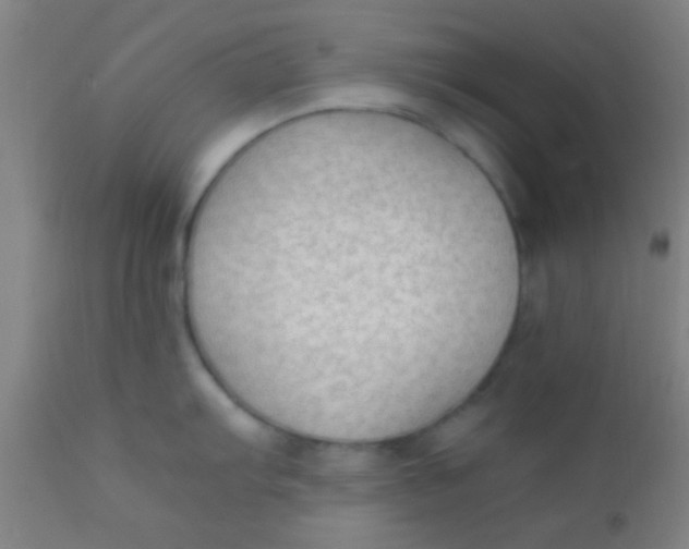 X0000110711103200907022016