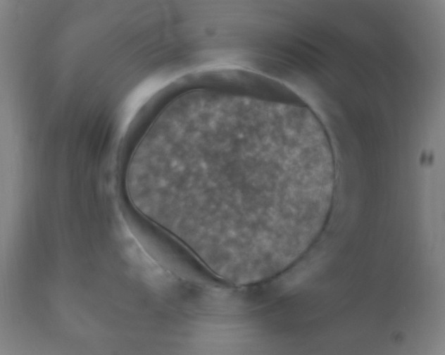 X0000110711104200907022016