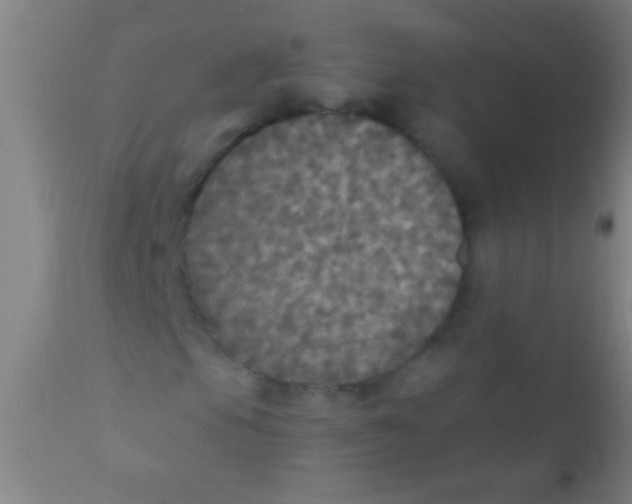 X0000110711105200907022015