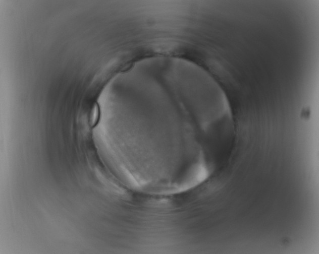 X0000110711106200907022015