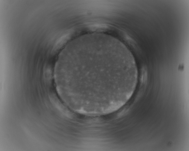 X0000110711108200907022015