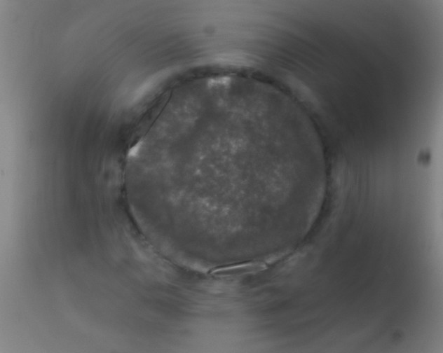 X0000110711110200907022015