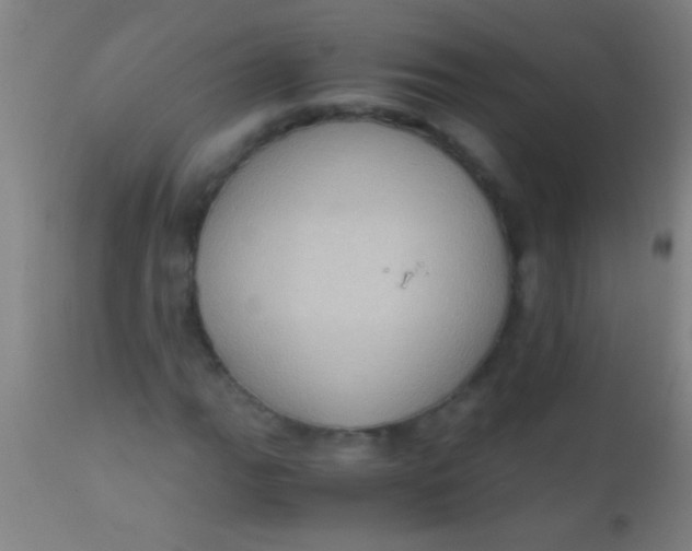 X0000110711111200907022015