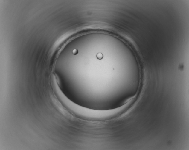 X0000110711114200907022016