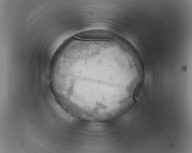 X0000110711116200907022016