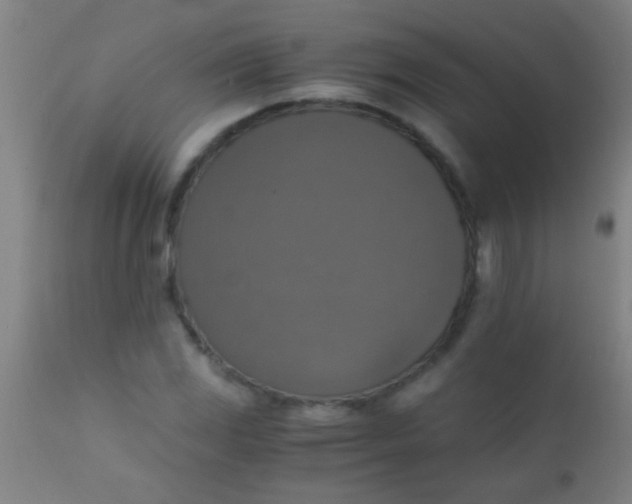 X0000110711117200907022016